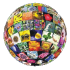 Sustainability