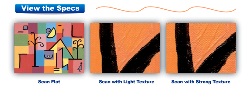 Scanning Options